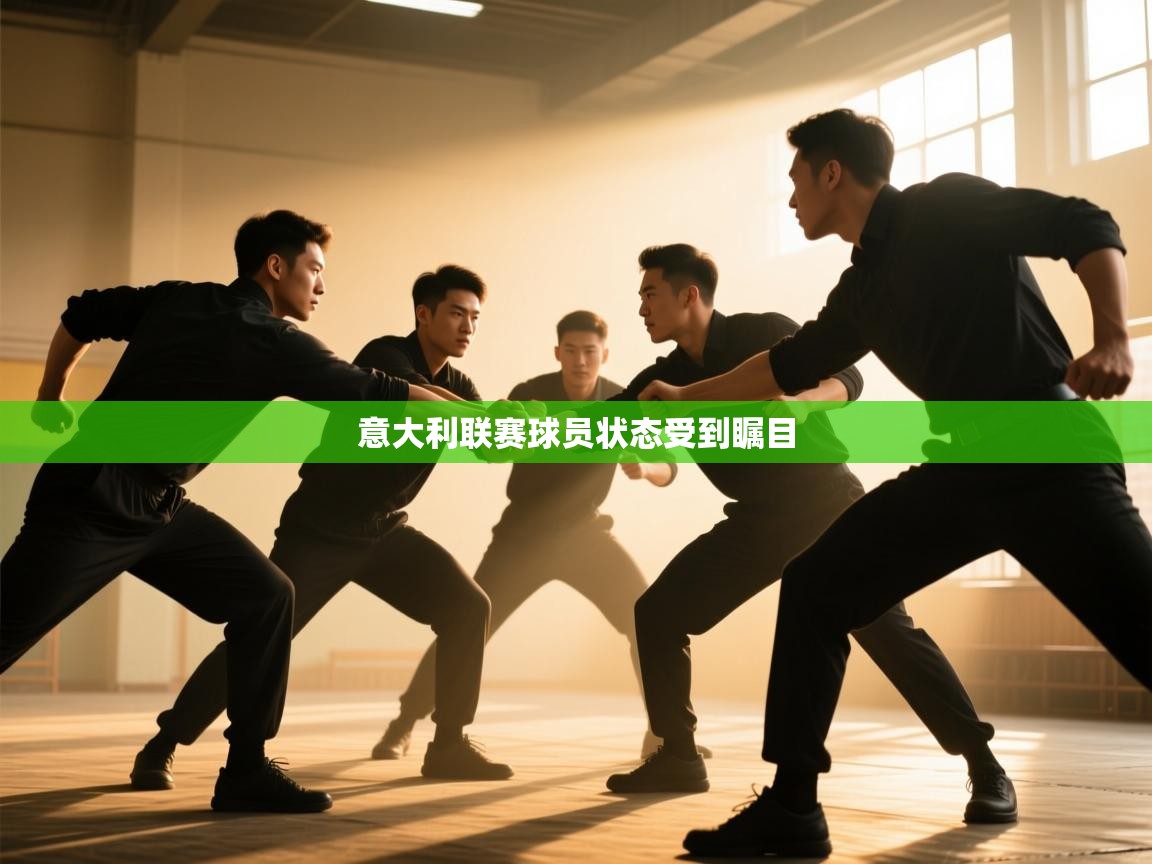 意大利联赛球员状态受到瞩目  第2张