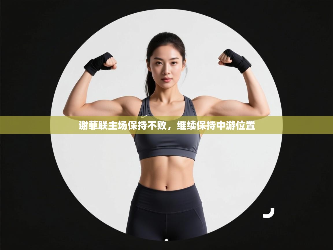 谢菲联主场保持不败，继续保持中游位置