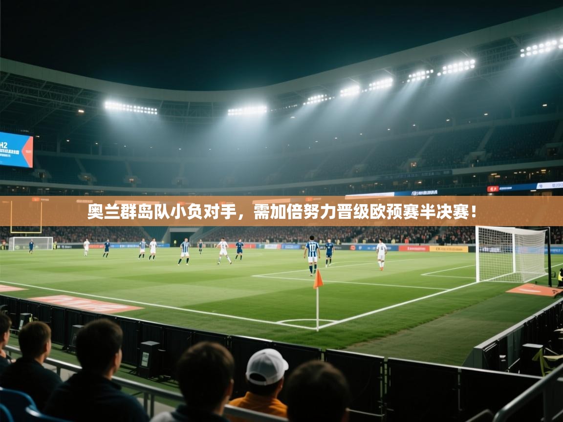 奥兰群岛队小负对手,需加倍努力晋级欧预赛半决赛! 第2张