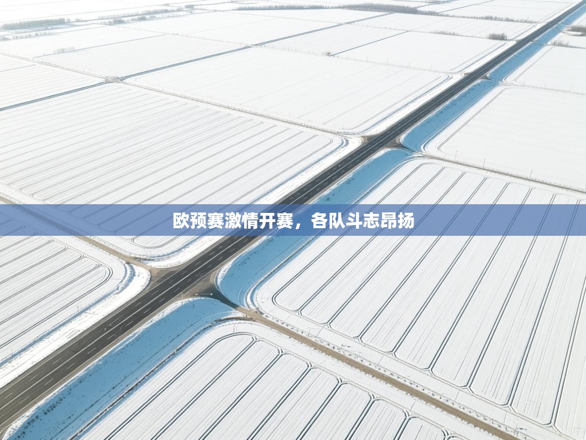 欧预赛激情开赛，各队斗志昂扬  第2张