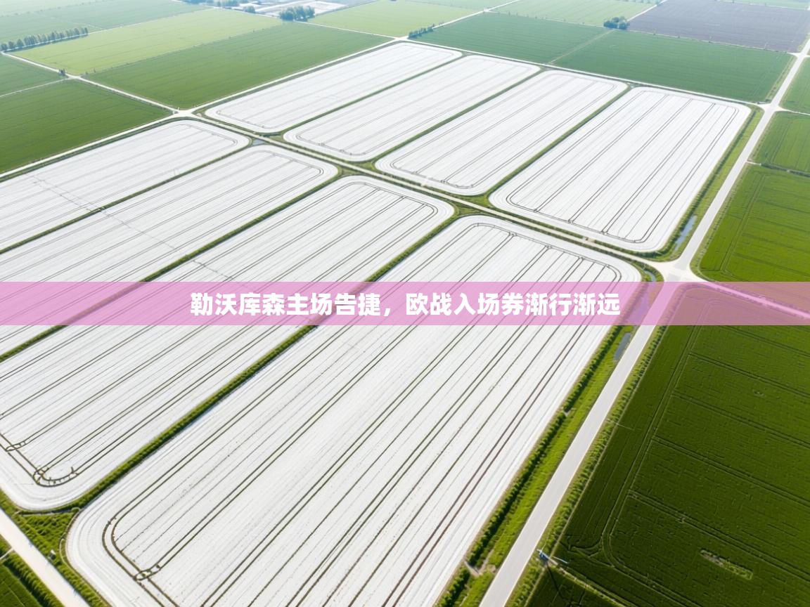 勒沃库森主场告捷,欧战入场券渐行渐远 第1张