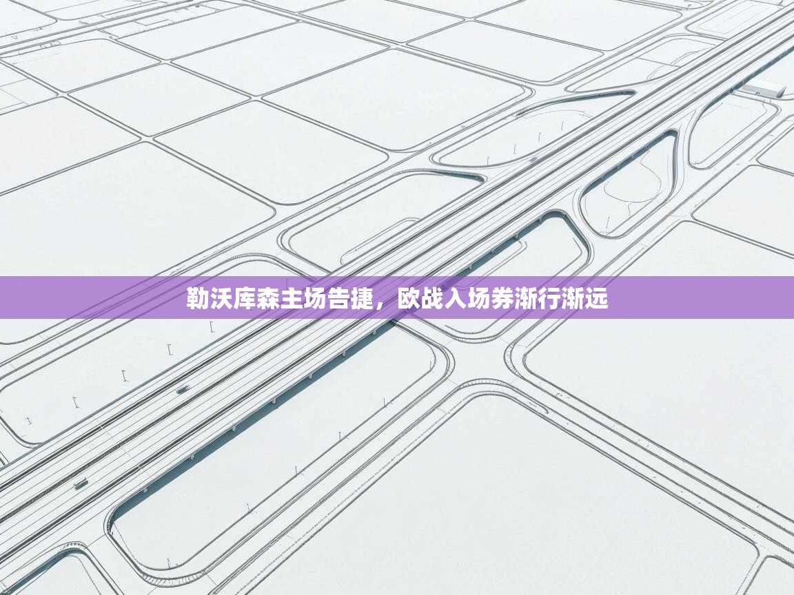 勒沃库森主场告捷,欧战入场券渐行渐远 第2张