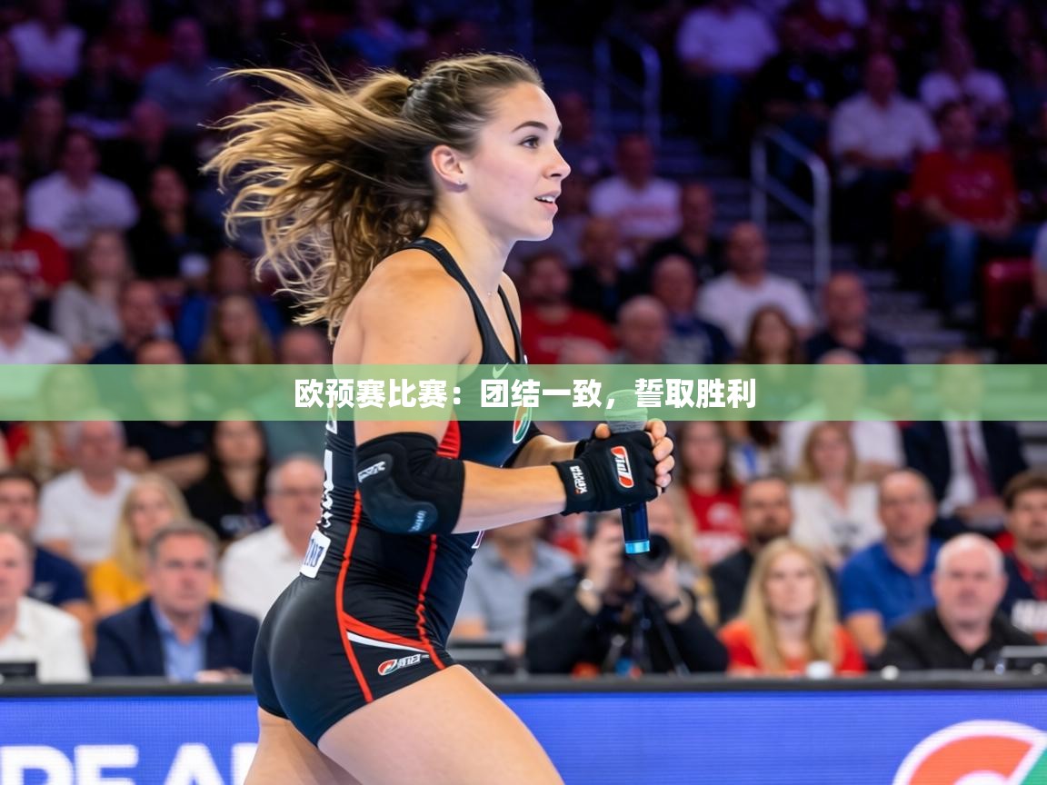 欧预赛比赛:团结一致,誓取胜利 第2张